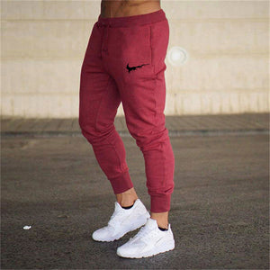 New Elastic Sports Sweat Pant